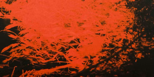 Anthony Naples, Floorplan, Monolithic, Dennis Free, Lee Cash, DONIS in New York