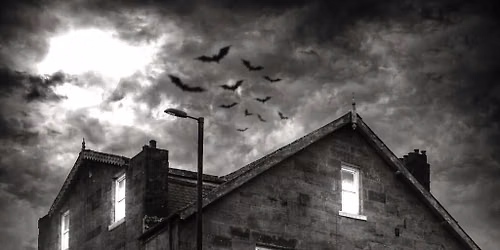 Ghost Hunt - Havelock Towers 