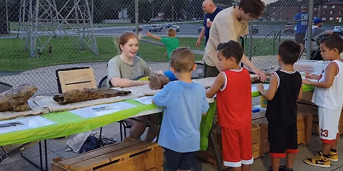Touch Dinosaur Fossils at a Windy City ThunderBolts Game