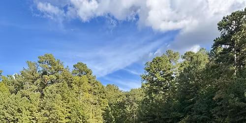 Let It In: Softening