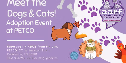 Meet AARF Dogs & Cats - Adoption Event at Petco