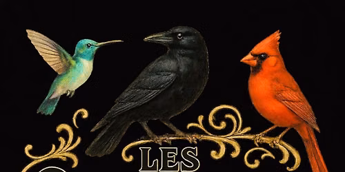 Les Oiseaux Trois Live At District Square Food Hall