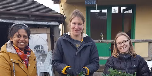 Christmas Wreath making