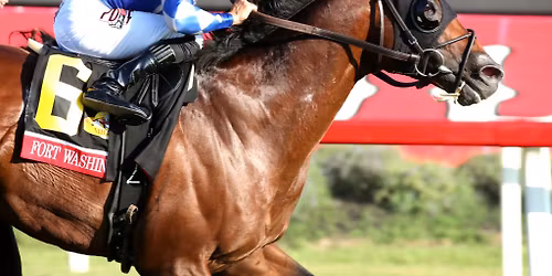 Colonial Downs Live Racing - Wiener Dog Races & Live Horse Racing