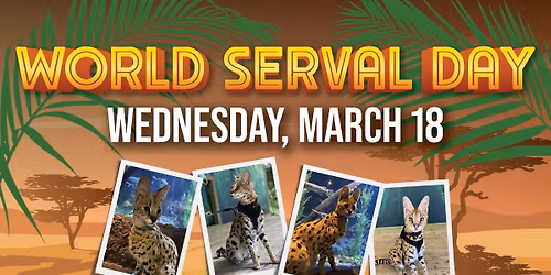 World Serval Day