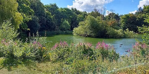 Wellbeing walk for bereaved parents - October session