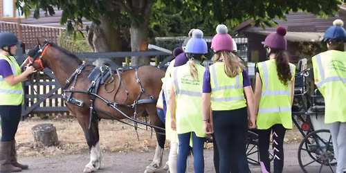 \ud83c\udf1f Activities Unlimited \u2013 Inclusive Pony Morning! \ud83c\udf1f