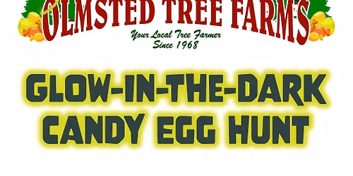 Trick or Tree - Glow-In-The-Dark Candy Egg Hunt