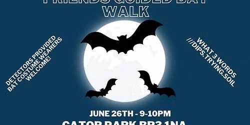 The Bat Walk