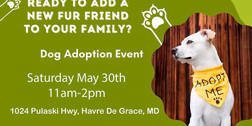 Adoption Event
