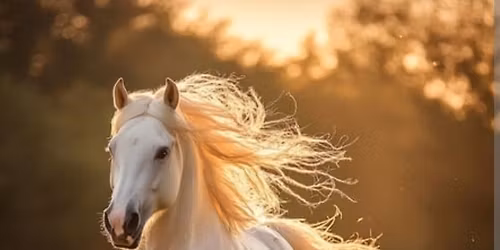 Howard Co. 4-H  Horse and Pony Meeting