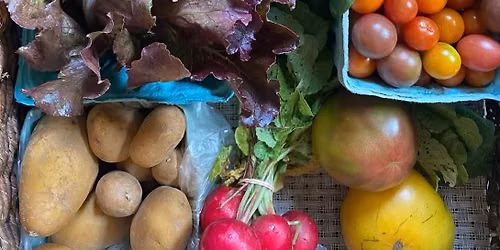 Calvert's Gift at Bel Air Farmer's Market!