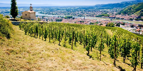 Discover Rh\u00f4ne Wines: Exploring a Legendary Wine Region