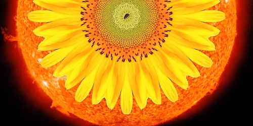 Flowers to Flame, A Summer Solstice Ritual