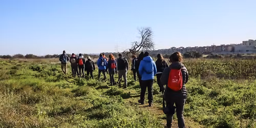 Suburban Explorer Bari \u2013 Lama Balice