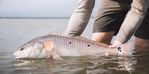 24th Annual Third Coast Fishing Tournament