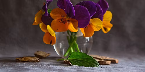 \u0412\u0435\u0447\u0435\u0440 \u0441 \u043f\u043e\u0435\u0437\u0438\u044f\u0442\u0430 \u043d\u0430 \u0412\u0430\u043b\u0435\u043d\u0442\u0438\u043d\u0430 \u0419\u043e\u0442\u043e\u0432\u0430