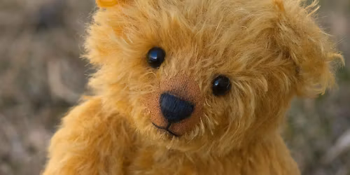 Teddy Bear's Picnic