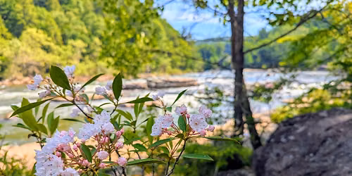 Public Meeting: Youghiogheny River Conservation Plan