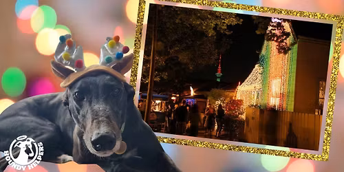 The Annual Auckland Greyhound "Reindeer" Walk!