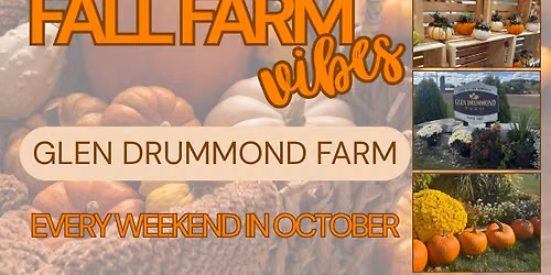 Pumpkin Patch Pop Up