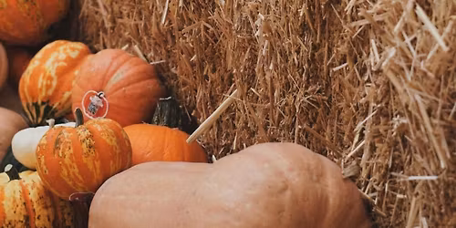 Breakfast at The Meadows