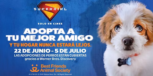 Salt Lake City | Adopta a tu mejor amigo