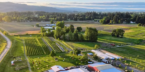 Make, Taste, or Unwind - Wednesday Evenings All Summer
