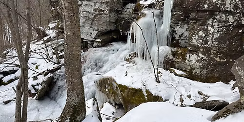 Halcott & Rusk Bushwhacks