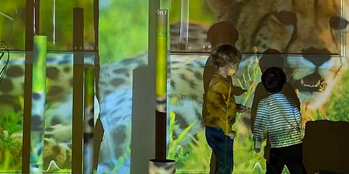 CIRC PreK presents: Environment \u2012 Designing Possibilities
