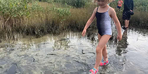 Single Day School Holiday Camp