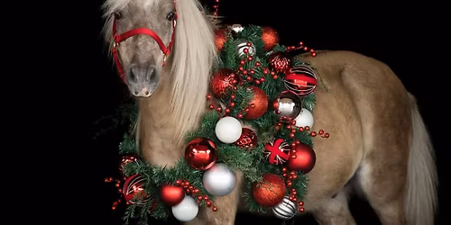 Cwmaman RC Christmas Fancy Dress (optional) Dressage