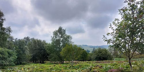 Practical Volunteering Day - Tree Planting and Bracken Bashing!