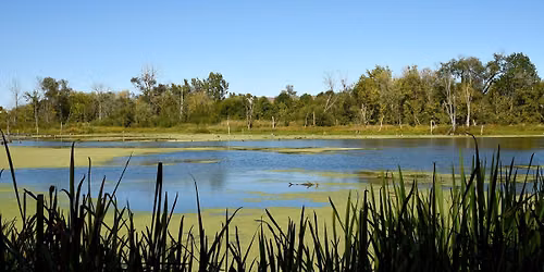 Bog Hike