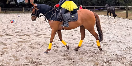 Xmas Games  and Spit Roast lunch $40