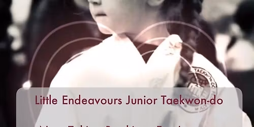 Little endeavours junior Tae Kwon-do