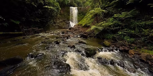 Rua Nyoni Falls & Irangi Forest, Embu - Hike