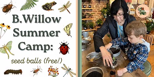 B.Willow Summer Camp: Seed Balls (free!)