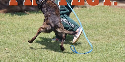 Canine Protection & Sport Work