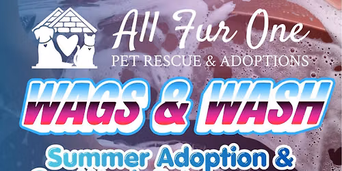 Wags & Wash: Summer Adoption & Car Wash Extravaganza
