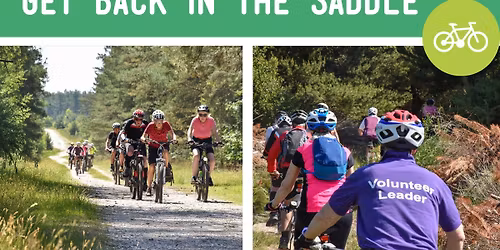 Get Back in the Saddle - Moors Valley Country Park
