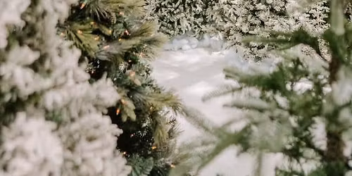 Winter Wonderland Mini Sessions-SOLD OUT