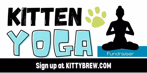 Kitty Yoga at Kitty Brew Cat Cafe