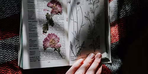 Have a Dabble - Pressed flowers (16+)