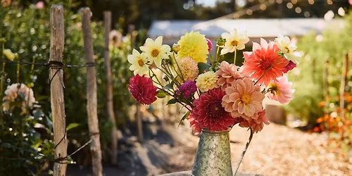 Summer Flower Picking \/\/ 28th December