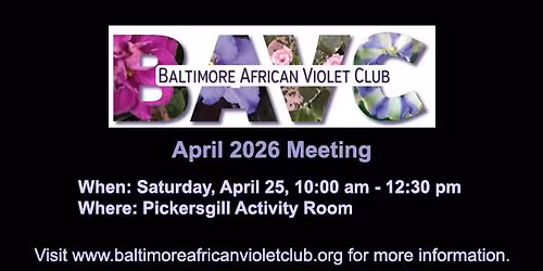 April 2026 BAVC Meeting