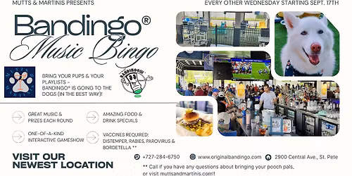 \ud83c\udfb6 BANDINGO\u00ae WEDNESDAYS \ud83c\udf89 at MUTTS & MARTINIS, St Pete, 730pm\ud83c\udfa4\ud83c\udf7b