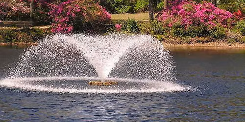 Mike's Farm dinner and Hayride thru the trees