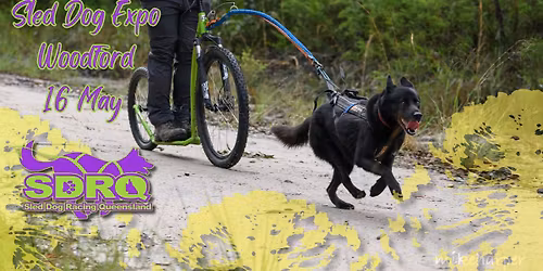 Sled Dog Expo: Woodford