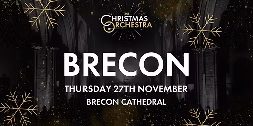 \ud83c\udfb6\ud83c\udf84The Christmas Orchestra - BRECON\ud83c\udf84\ud83c\udfb6